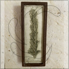 Photo de Ateliers de Siorac Photo de Ateliers de Siorac